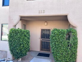 11011 N Zephyr Dr in Fountain Hills, AZ - Building Photo