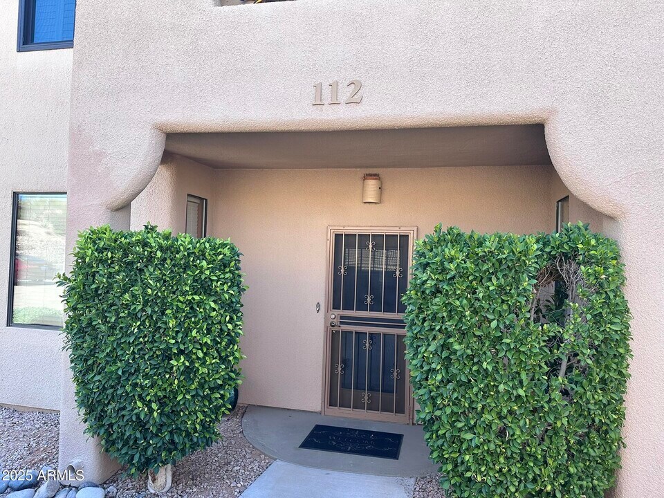 11011 N Zephyr Dr in Fountain Hills, AZ - Building Photo