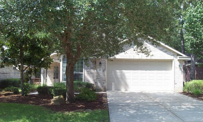 10 W Foxbriar Forest Cir in Spring, TX - Building Photo - Building Photo