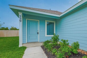 239 Lisa Marie Dr in Angleton, TX - Foto de edificio - Building Photo