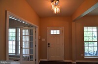 43019 Tippman Pl in Chantilly, VA - Building Photo - Building Photo