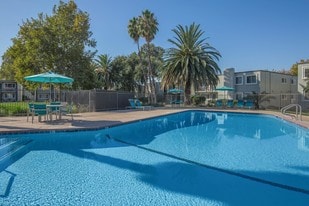 The Madison in Sacramento, CA - Building Photo