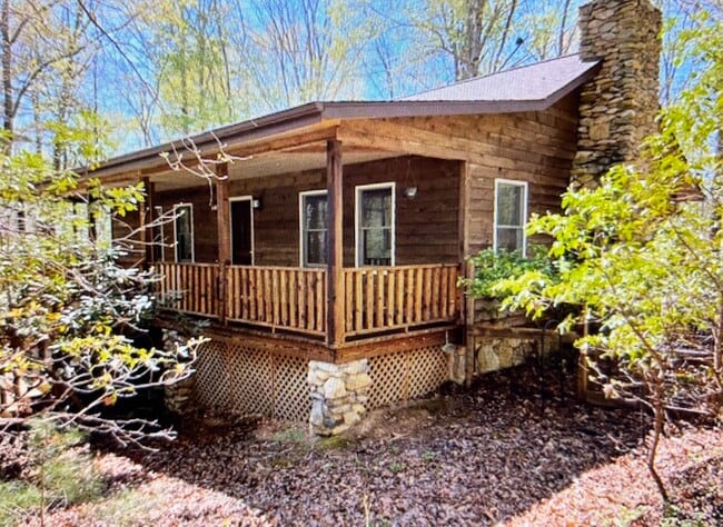 16 Alpen Rose Way in Mills River, NC - Building Photo - Building Photo