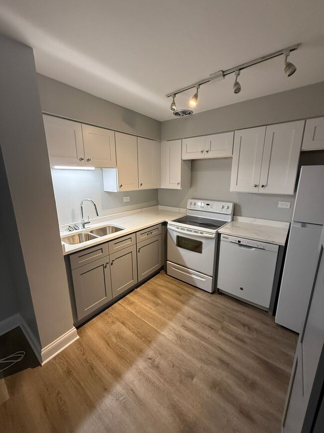 744 W Gordon Terrace in Chicago, IL - Building Photo - Building Photo