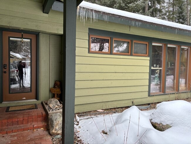 703 Brown Dr in Mccall, ID - Building Photo - Building Photo