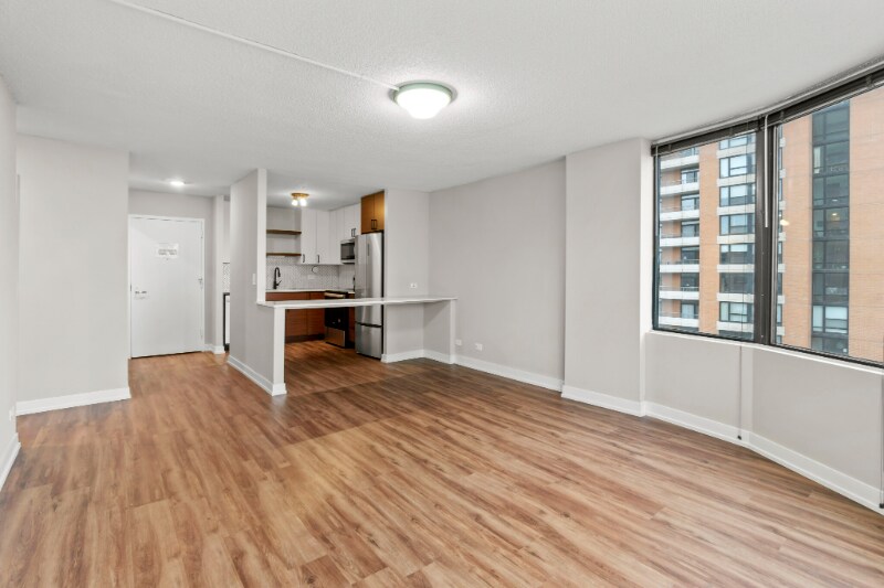 1221 S Michigan Ave in Chicago, IL - Building Photo