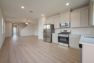 27966 Western Crk Ct in Katy, TX - Building Photo