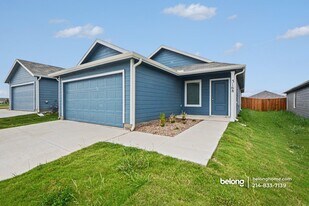 3168 Burmese St in Providence Village, TX - Building Photo