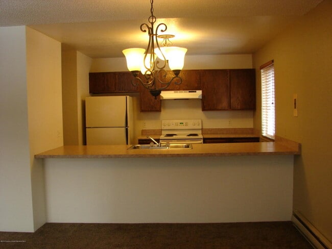 2015 Blake Ave in Glenwood Springs, CO - Building Photo - Building Photo