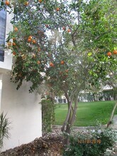 48728 Desert Flower Dr in Palm Desert, CA - Building Photo - Building Photo