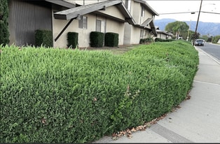 2411 Pattiglen Ave in La Verne, CA - Building Photo