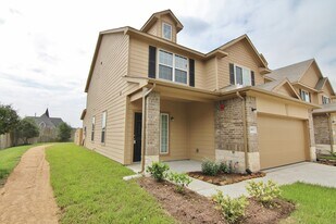 3811 Lexington Grove Ct in Missouri City, TX - Building Photo