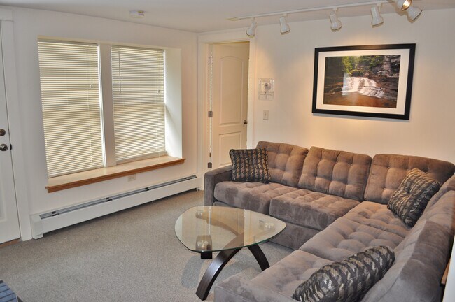 203 Williams St, Unit 6 in Ithaca, NY - Foto de edificio - Building Photo