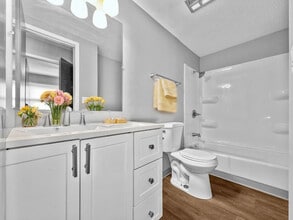 Trilein Village Apartments in Ankeny, IA - Building Photo - Building Photo