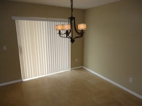 1907 Seatonham St in Winter Garden, FL - Building Photo - Building Photo