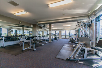 1111 W 14th Pl, Unit 321 in Chicago, IL - Building Photo - Building Photo