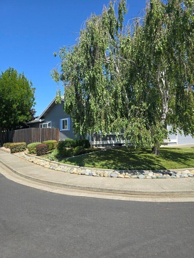 1781 Larkin Dr in Fairfield, CA - Building Photo - Building Photo