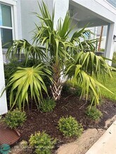 4658 Longwood Lake Sq in Westlake, FL - Building Photo - Building Photo