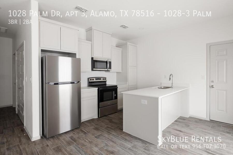 1028 Palm Dr in Alamo, TX - Building Photo