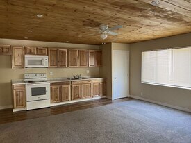 54141 Pine Crest Ave in Idyllwild, CA - Building Photo
