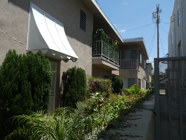 3520 Clarington Ave in Los Angeles, CA - Building Photo - Primary Photo