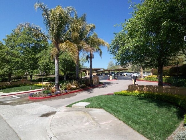 745 Watson Canyon Ct in San Ramon, CA - Building Photo - Building Photo