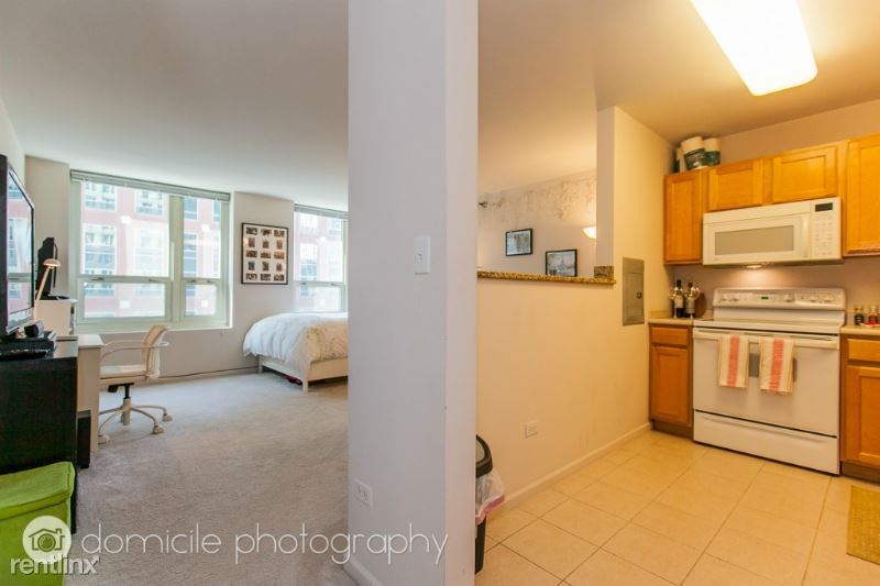 345 N LaSalle St in Chicago, IL - Building Photo