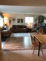 677 Vera Ct in Loveland, CO - Building Photo