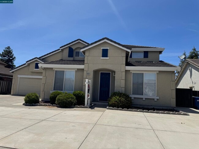 property at 4641 Palomino Way