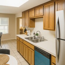 6420 Shasta Trail in Fort Worth, TX - Building Photo - Building Photo