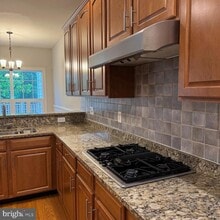 19913 Naples Lakes Terrace in Ashburn, VA - Building Photo - Building Photo