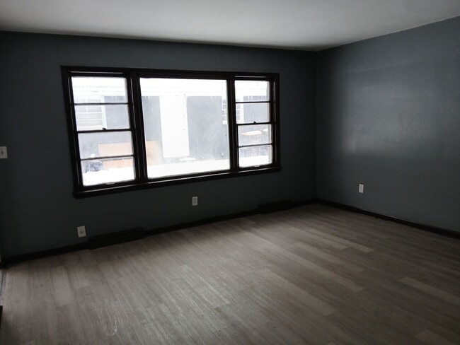 1025 Irving Ave in Rockford, IL - Building Photo - Building Photo