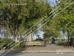 36702 Olive St in Newark, CA - Building Photo - Building Photo