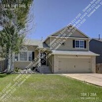 918 Daffodil St in Fountain, CO - Building Photo