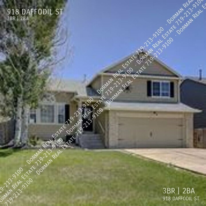 918 Daffodil St in Fountain, CO - Building Photo
