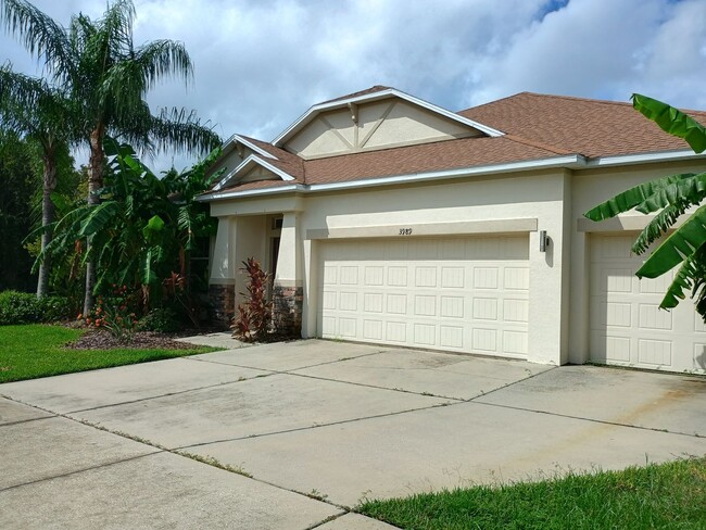 3989 Windcrest Dr in Zephyrhills, FL - Foto de edificio - Building Photo