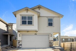 8843 Blue Feather Lp in Colorado Springs, CO - Building Photo