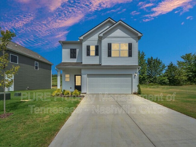 917 Andasia Wy in Clarksville, TN - Building Photo - Building Photo