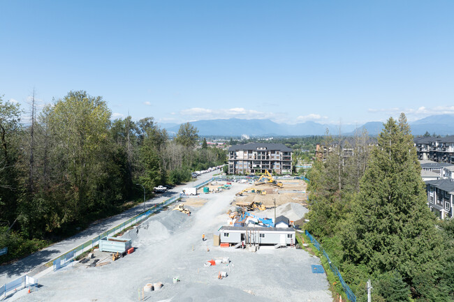 8460 203A St in Langley, BC - Building Photo - Building Photo