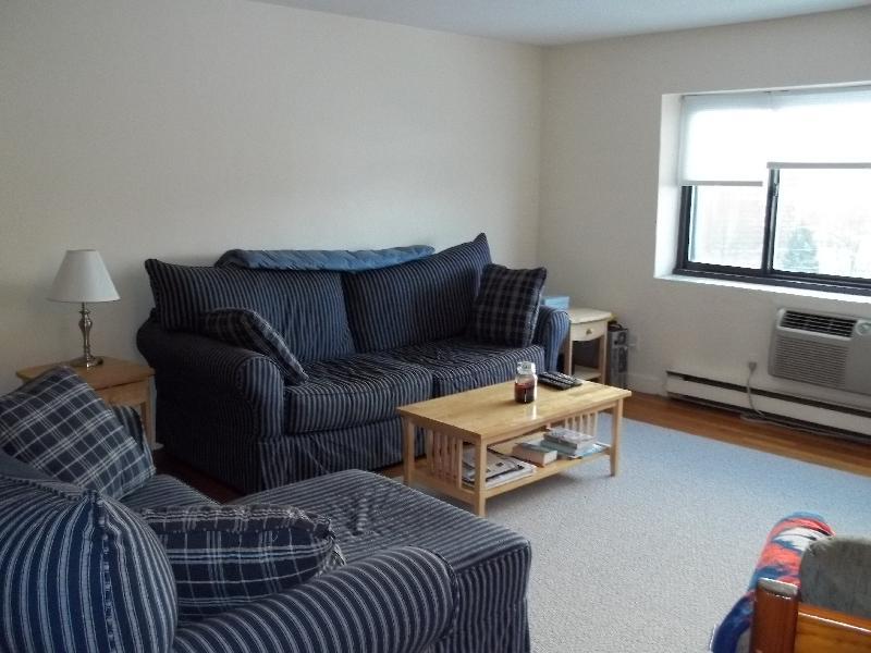 36 Dighton St, Unit 15 in Boston, MA - Building Photo