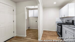 338 N San Horacio Ave in San Antonio, TX - Building Photo - Building Photo