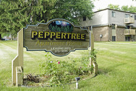 Peppertree photo'