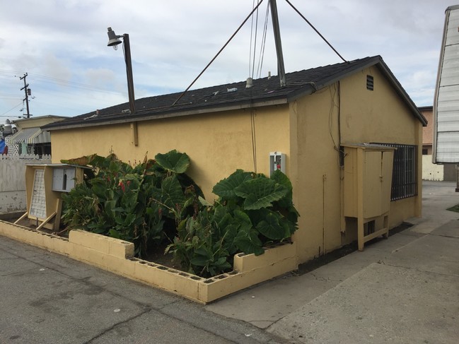 Magnolia Trailer Park