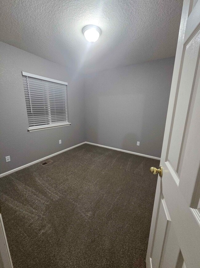 3922 Malaya Ct in Denver, CO - Building Photo - Building Photo