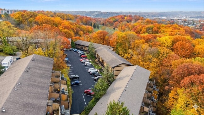 Village in the Park Apartments