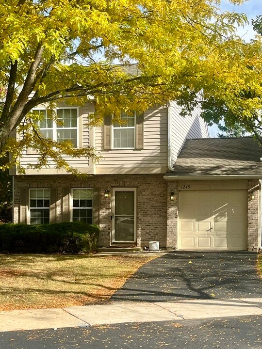 1219 N Village Dr in Round Lake Beach, IL - Building Photo