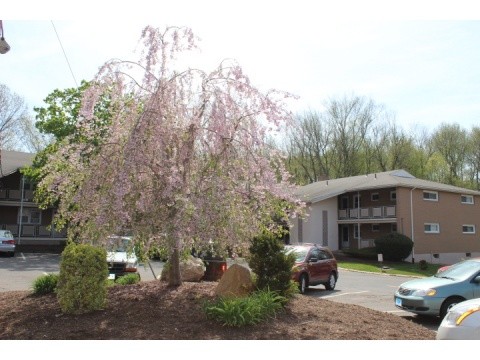 Highland Apartments in Vernon Rockville, CT - Building Photo