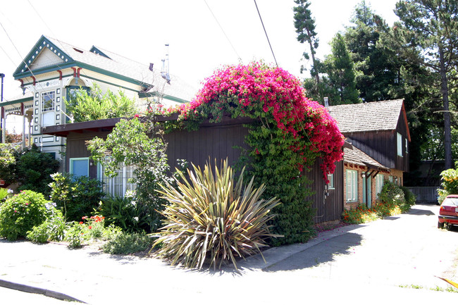 1310 Addison St in Berkeley, CA - Building Photo - Building Photo