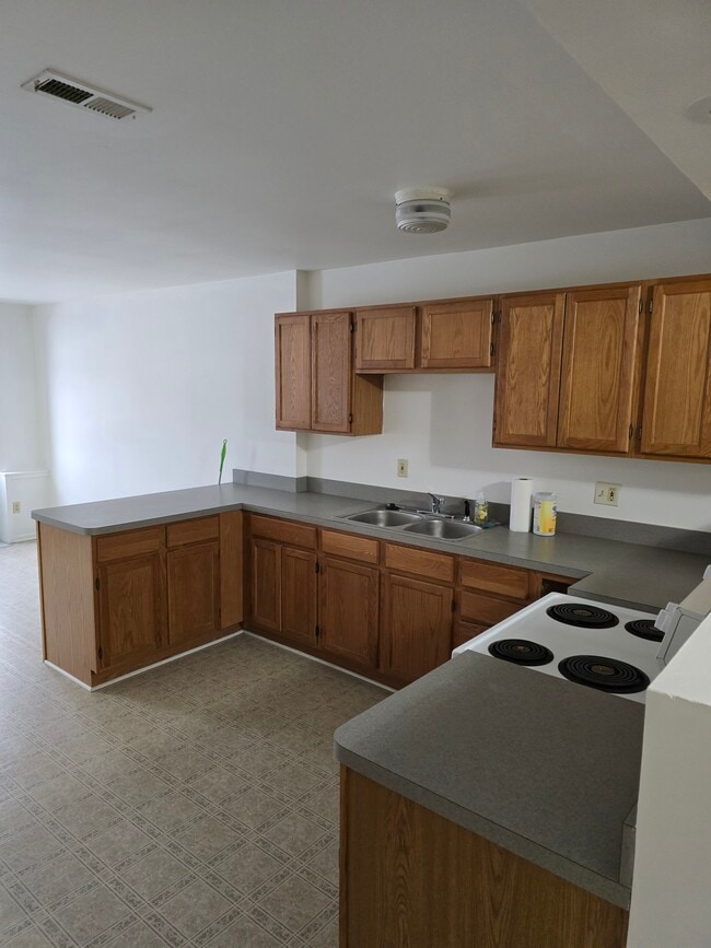 112 Kent St, Unit 1 in Portland, MI - Building Photo - Building Photo