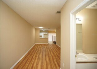6252 Osprey Lake Cir in Riverview, FL - Building Photo - Building Photo